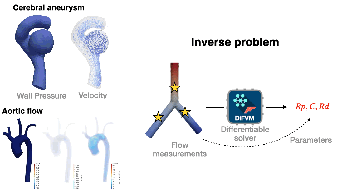 Animated differentiable fluid mechanics simulation