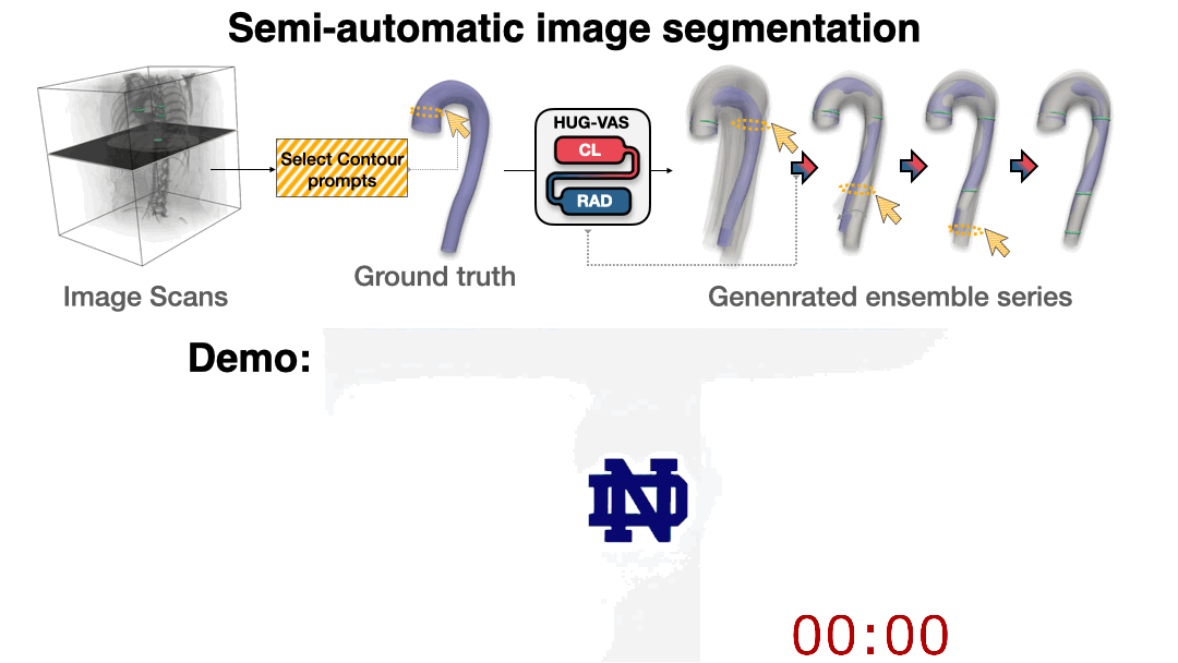 Animated semi-automatic image segmentation workflow